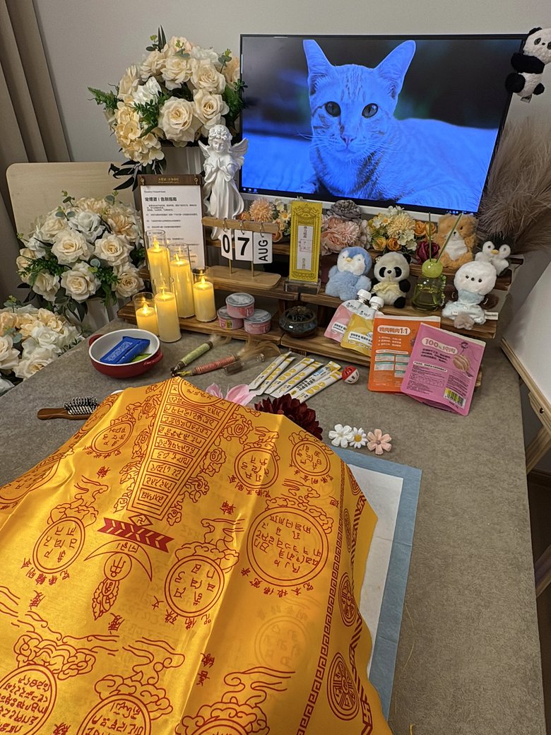 石家庄宠物殡葬门店告别厅环境