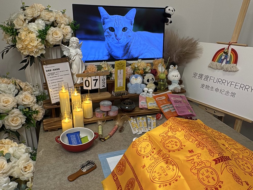 宠物告别仪式现场布置